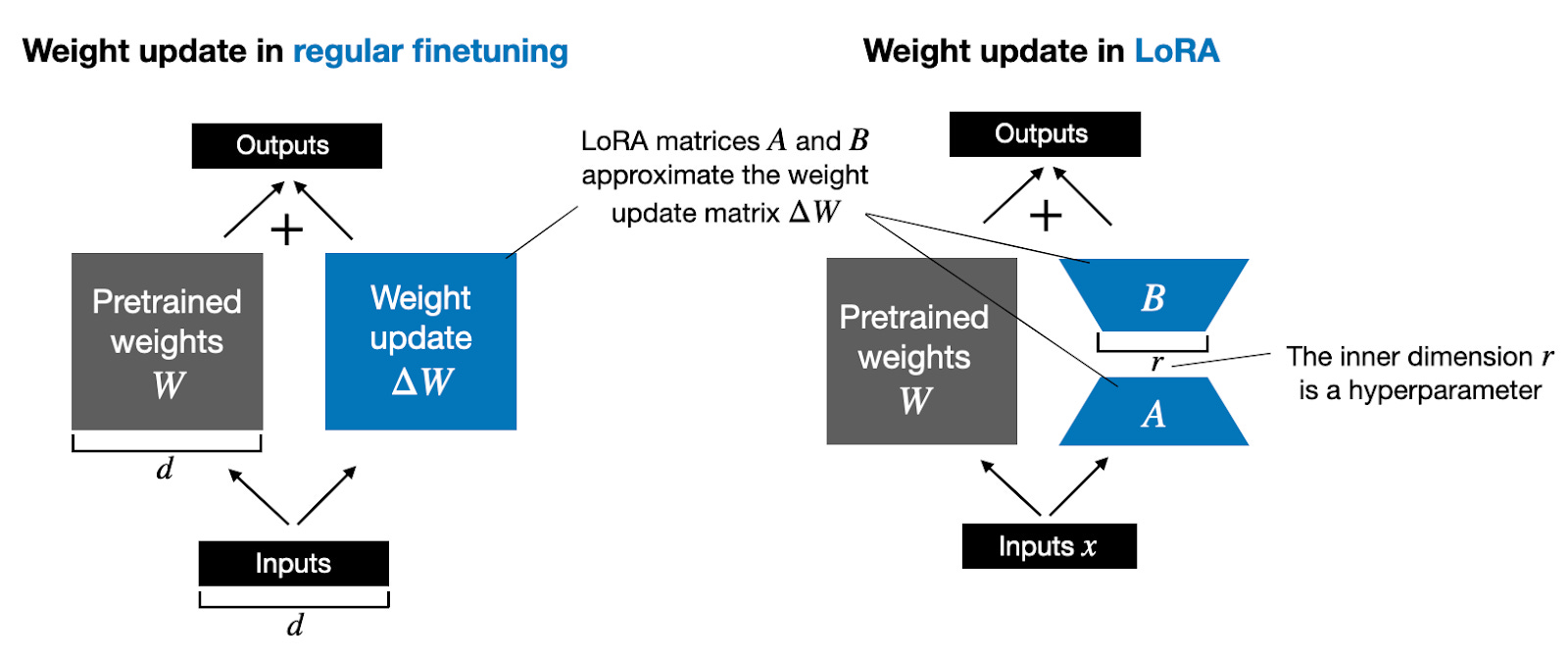 How to Fine-Tune Projection Layer in CLIP Model Using LoRA